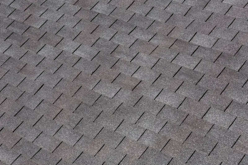Gerard Ahi Roofing Senator