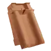 tg-04