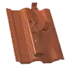standard-extra--04