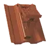 standard-extra--05