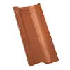 standard-extra--08