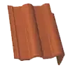 standard-extra--12