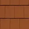karpiowka-profil-kolorystyka-19