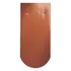 karpiowka-klassic-kolorystyka-16
