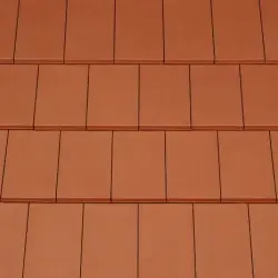 domino-kolorystyka-01
