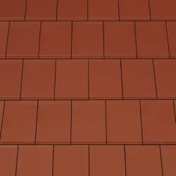 domino-kolorystyka-03