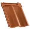 maxima-04