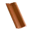 maxima-06