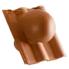 maxima-18