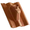 maxima-19