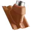 maxima-20